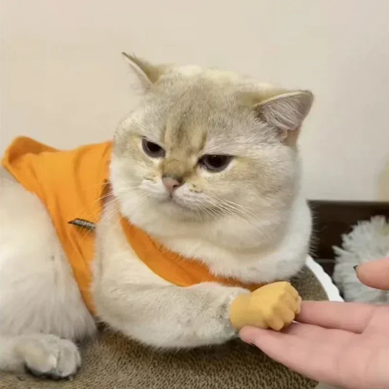 6 Pcs Stretchable Mini Hands for Cat & Dog | Funny Silicone Mini Hands for Pets - Image 9