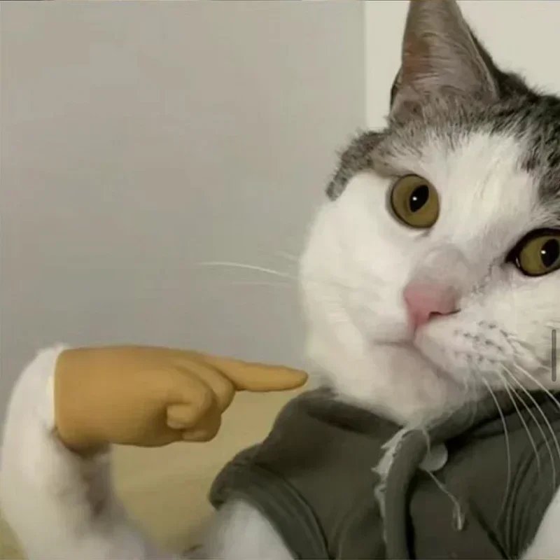 6 Pcs Stretchable Mini Hands for Cat & Dog | Funny Silicone Mini Hands for Pets - Image 7