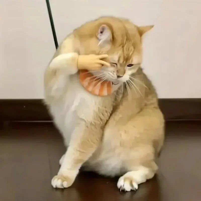 6 Pcs Stretchable Mini Hands for Cat & Dog | Funny Silicone Mini Hands for Pets - Image 8