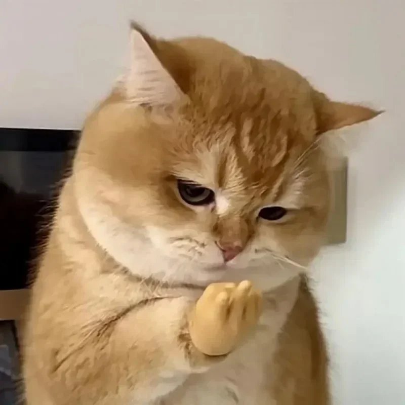 6 Pcs Stretchable Mini Hands for Cat & Dog | Funny Silicone Mini Hands for Pets - Image 6