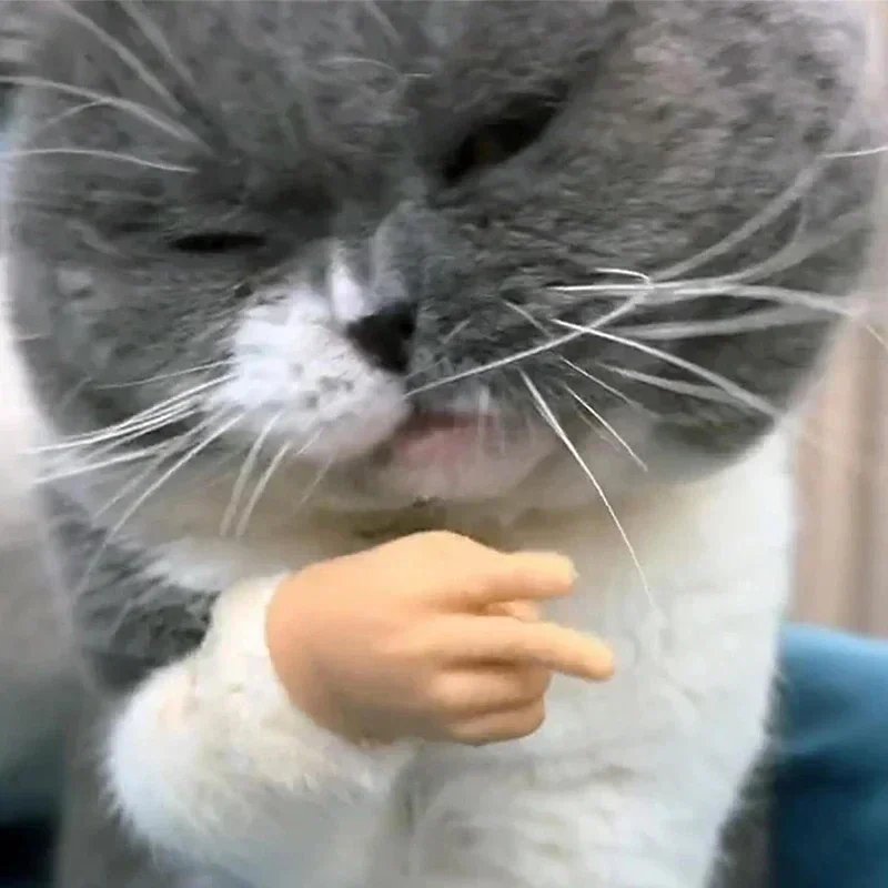 6 Pcs Stretchable Mini Hands for Cat & Dog | Funny Silicone Mini Hands for Pets - Image 5