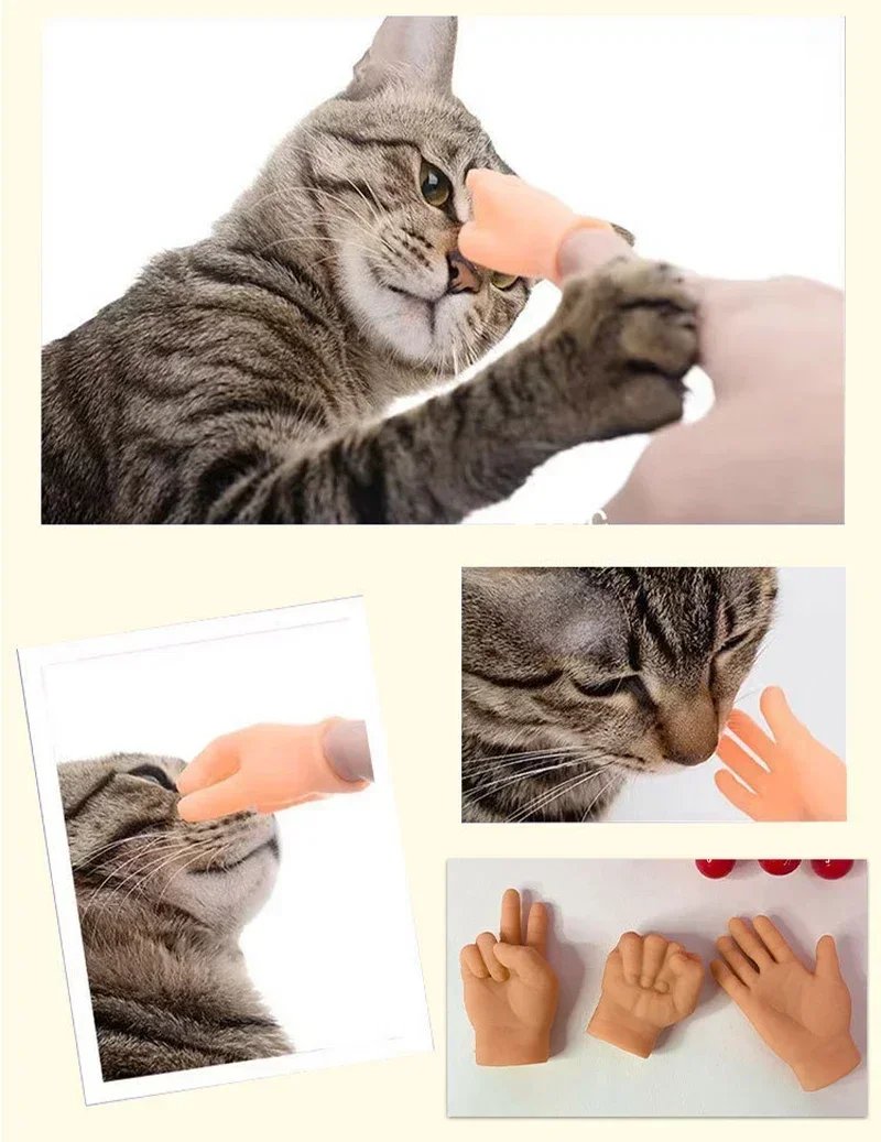 6 Pcs Stretchable Mini Hands for Cat & Dog | Funny Silicone Mini Hands for Pets - Image 14